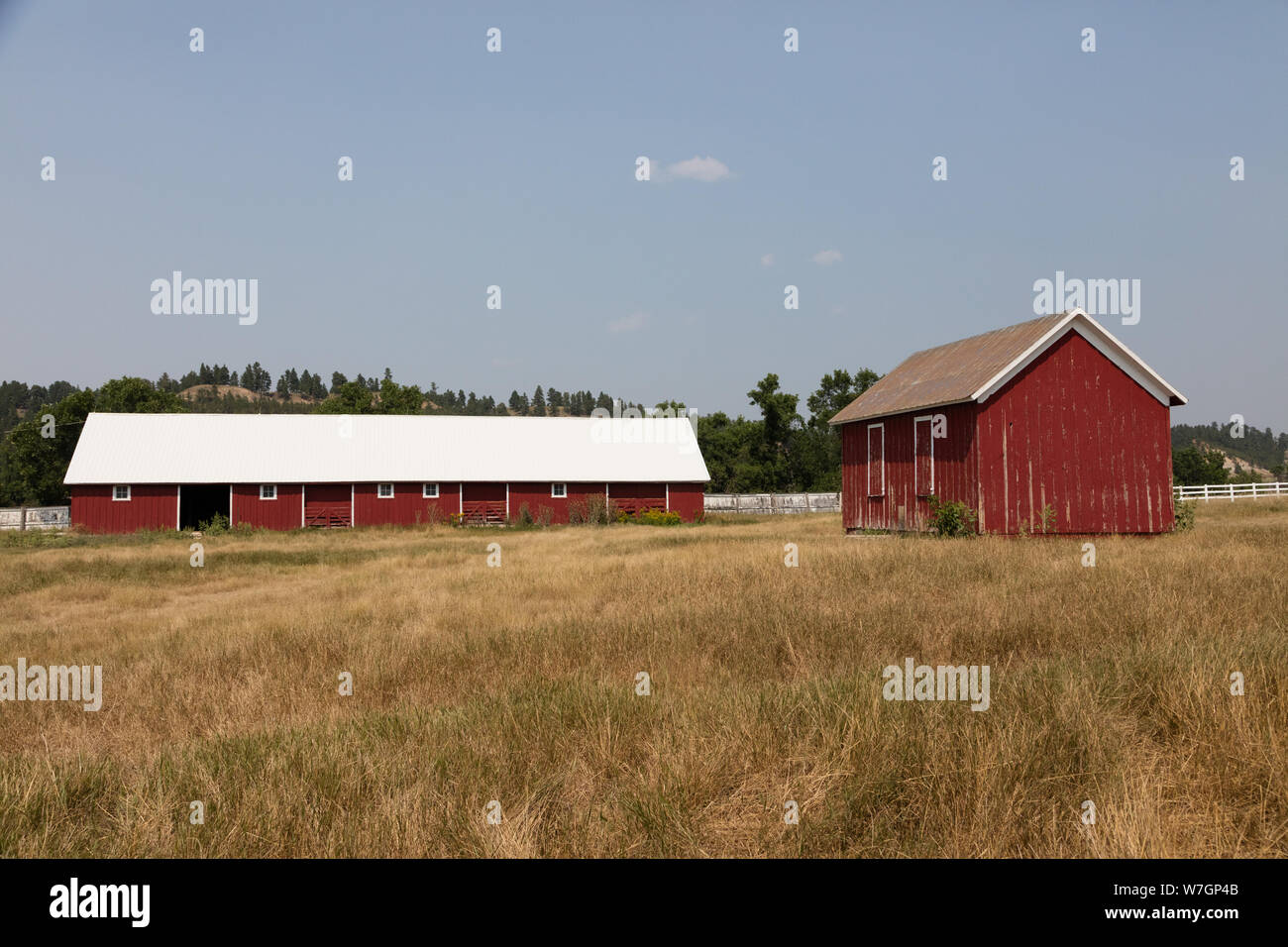 Scheunen am Hadley SY Rinder und Pferde Ranch in Crook County, Wyoming, in der Nähe von Sundance Stockfoto