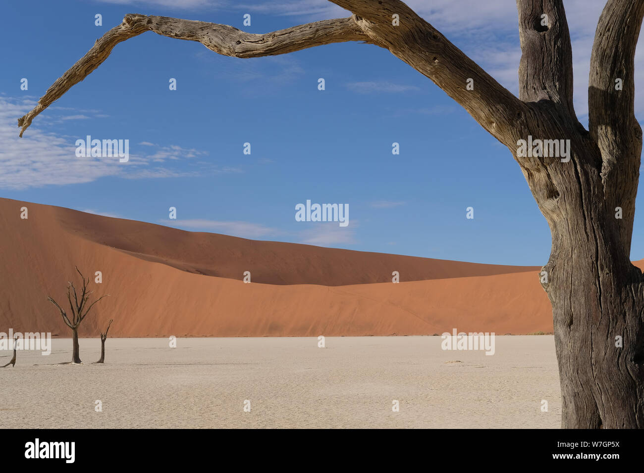 Deadvlei, Namibia Stockfoto