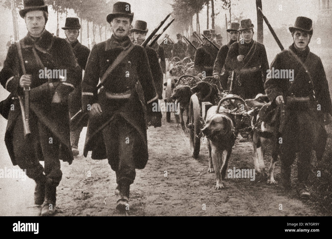 Hunde verwendet die Maschinengewehre der belgischen Armee während des ersten Weltkrieges zu ziehen. Aus dem Festzug des Jahrhunderts, veröffentlicht 1934. Stockfoto