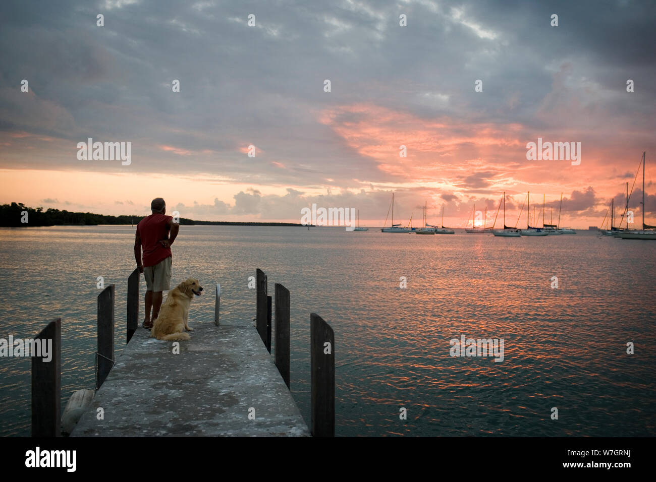 Reifen erwachsenen Mann am Ende der Pier mit seinem Hund bei Sonnenuntergang. Stockfoto