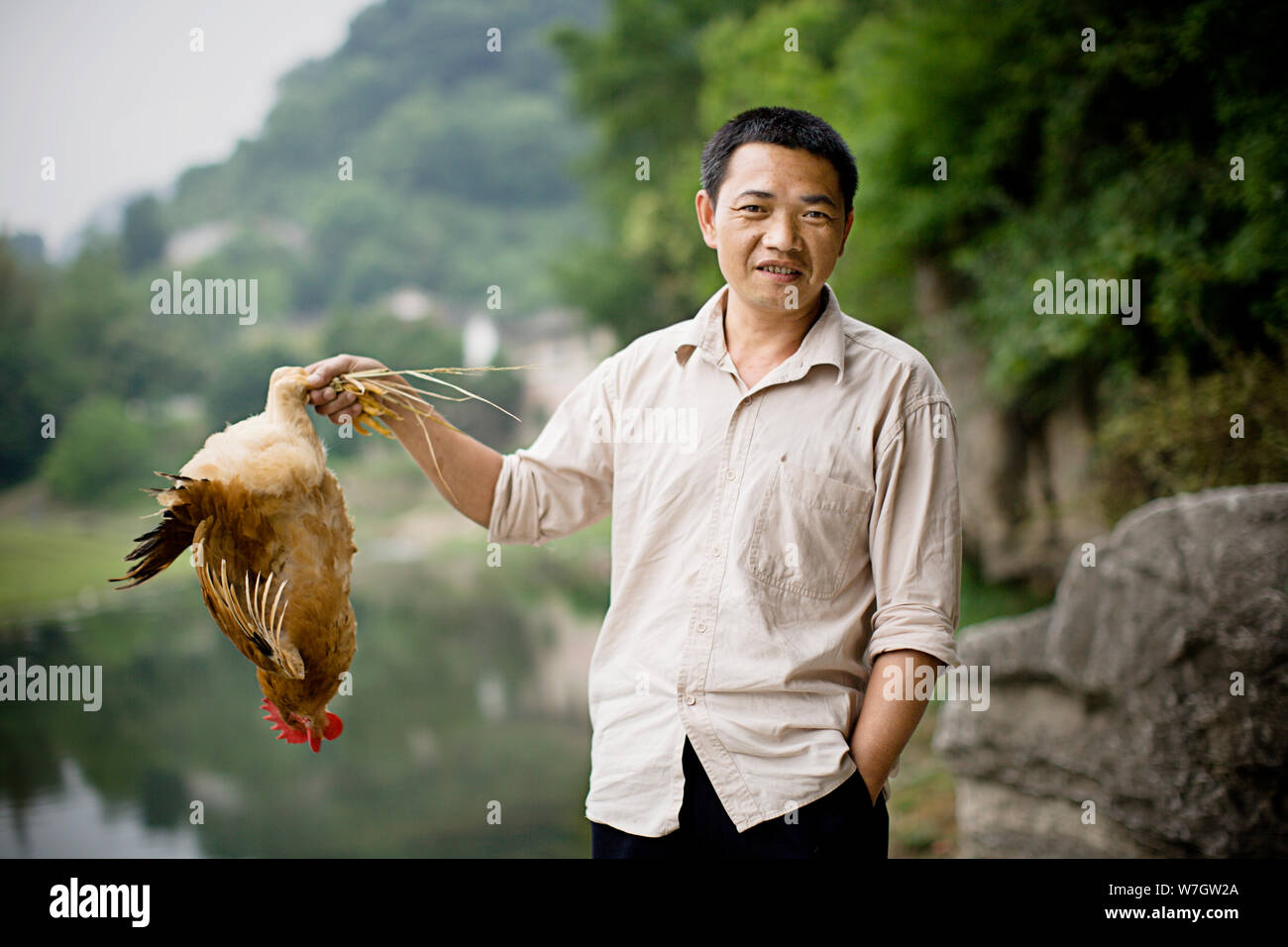 Ein huhn halten -Fotos und -Bildmaterial in hoher Auflösung – Alamy
