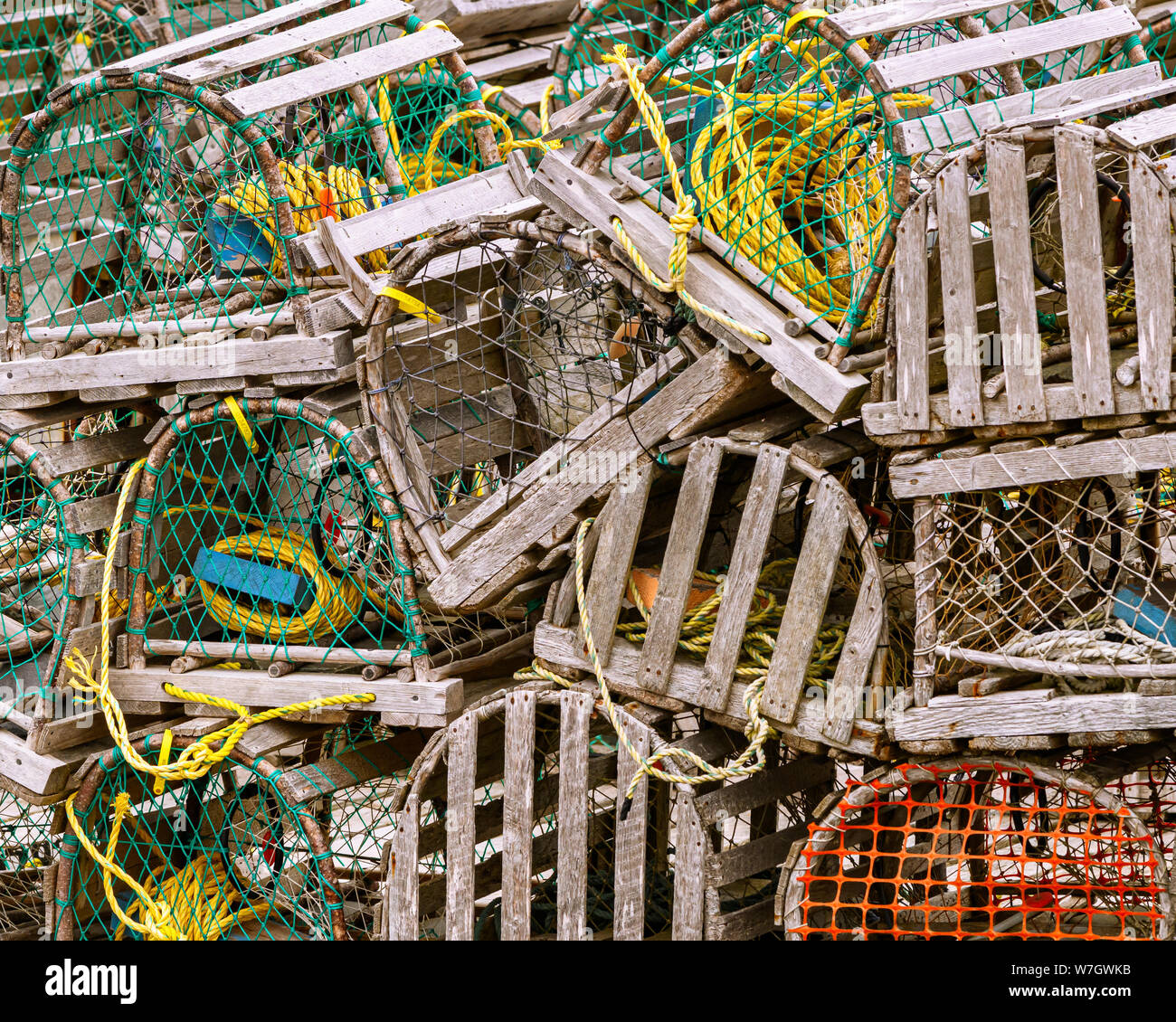 Hummer fallen auf den Docks im Hafen von Champney's West, Neufundland, Kanada. Stockfoto