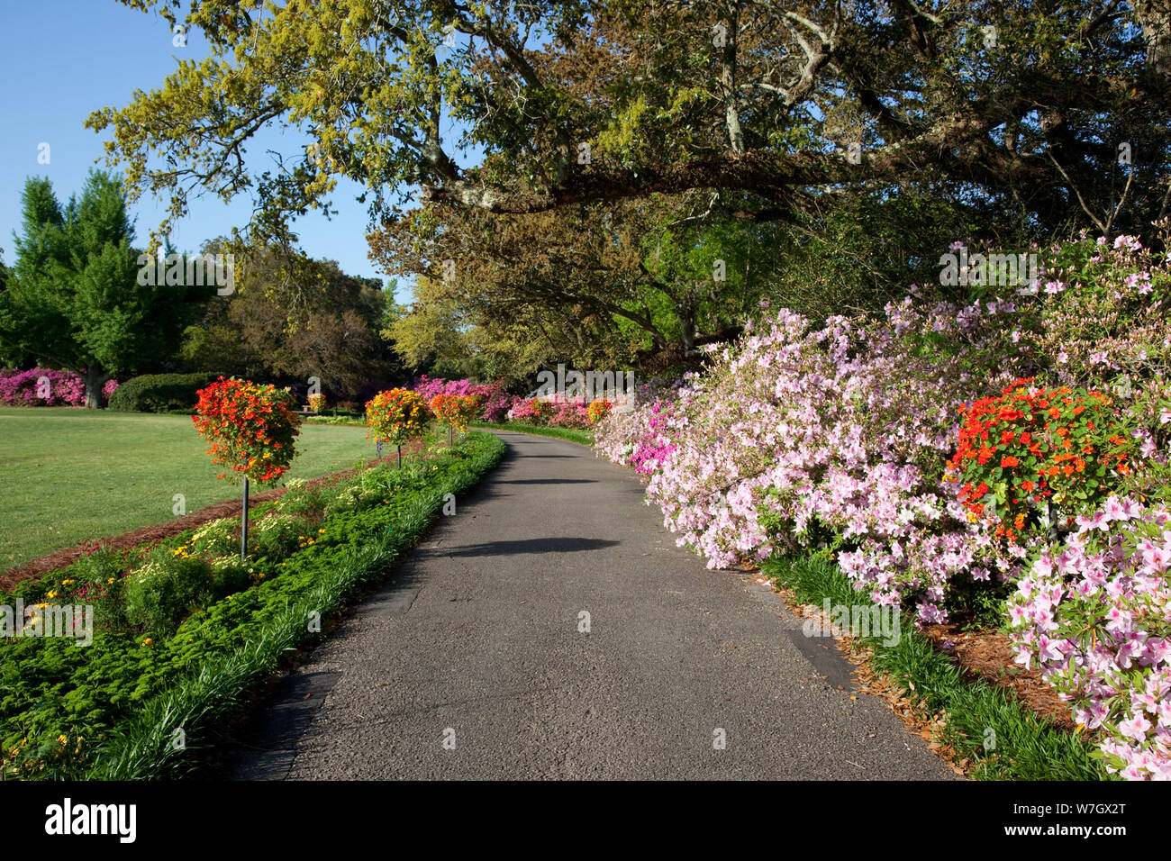 Bellingrath Gardens und zu Hause, die Erstellung von Herr und Frau Walter Bellingrath in Theodore, Alabama Stockfoto