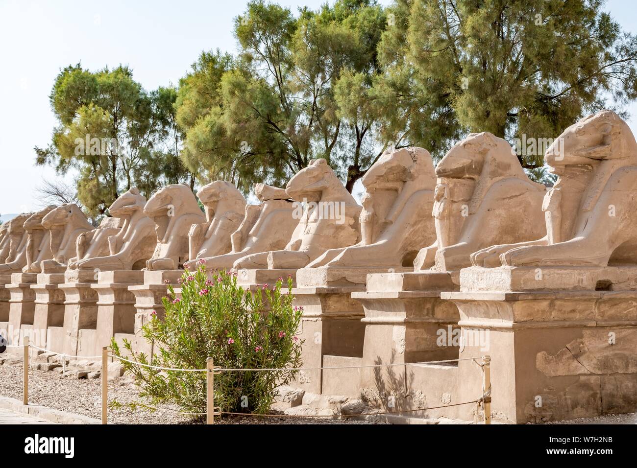 Ram-Satzung am Eingang der Karnak Tempel, Luxor, Ägypten Stockfoto