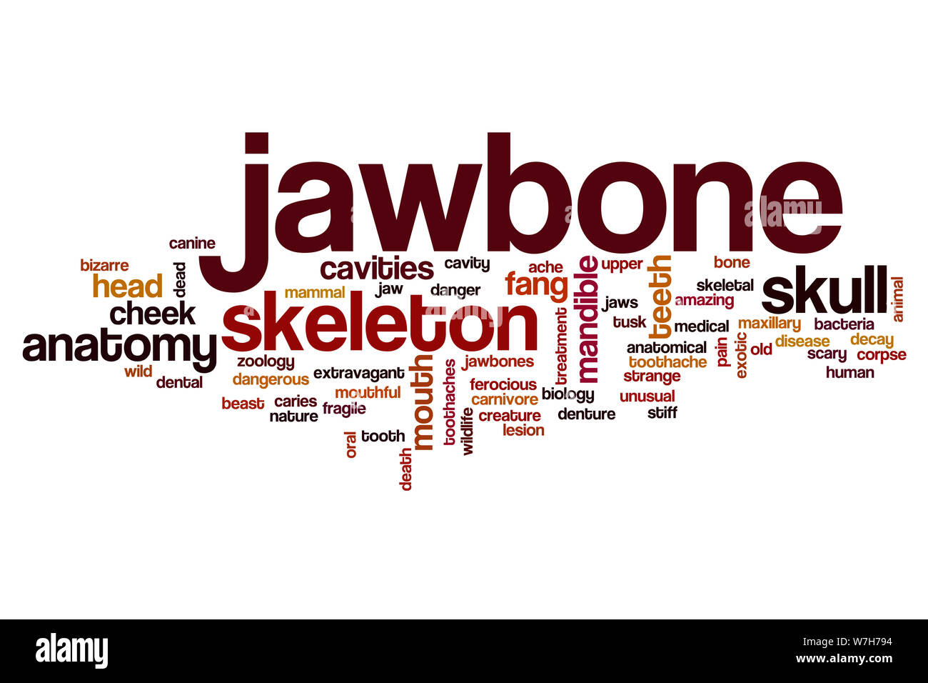 Kieferknochen Wort cloud Konzept Stockfoto