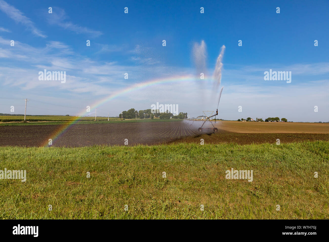 Drehmittelpunkt Bewässerung Wasser auf einer vor kurzem gepflanzt Soja Bauernhof Feld erstellen Regenbogen in der Morgensonne in trockenen Bedingungen Stockfoto