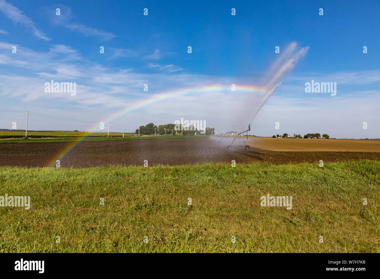 Drehmittelpunkt Bewässerung Wasser auf einer vor kurzem gepflanzt Soja Bauernhof Feld erstellen Regenbogen in der Morgensonne in trockenen Bedingungen Stockfoto