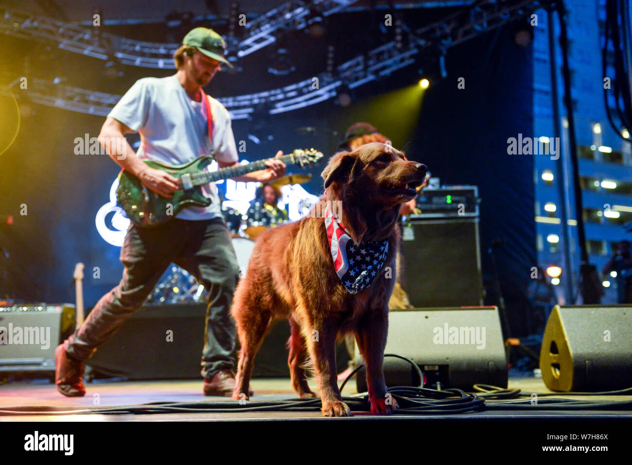 Die band Strichmännchen mit Ihrem Hund auf der Bühne das Leben ist schön Festival, Las Vegas, Nevada Stockfoto