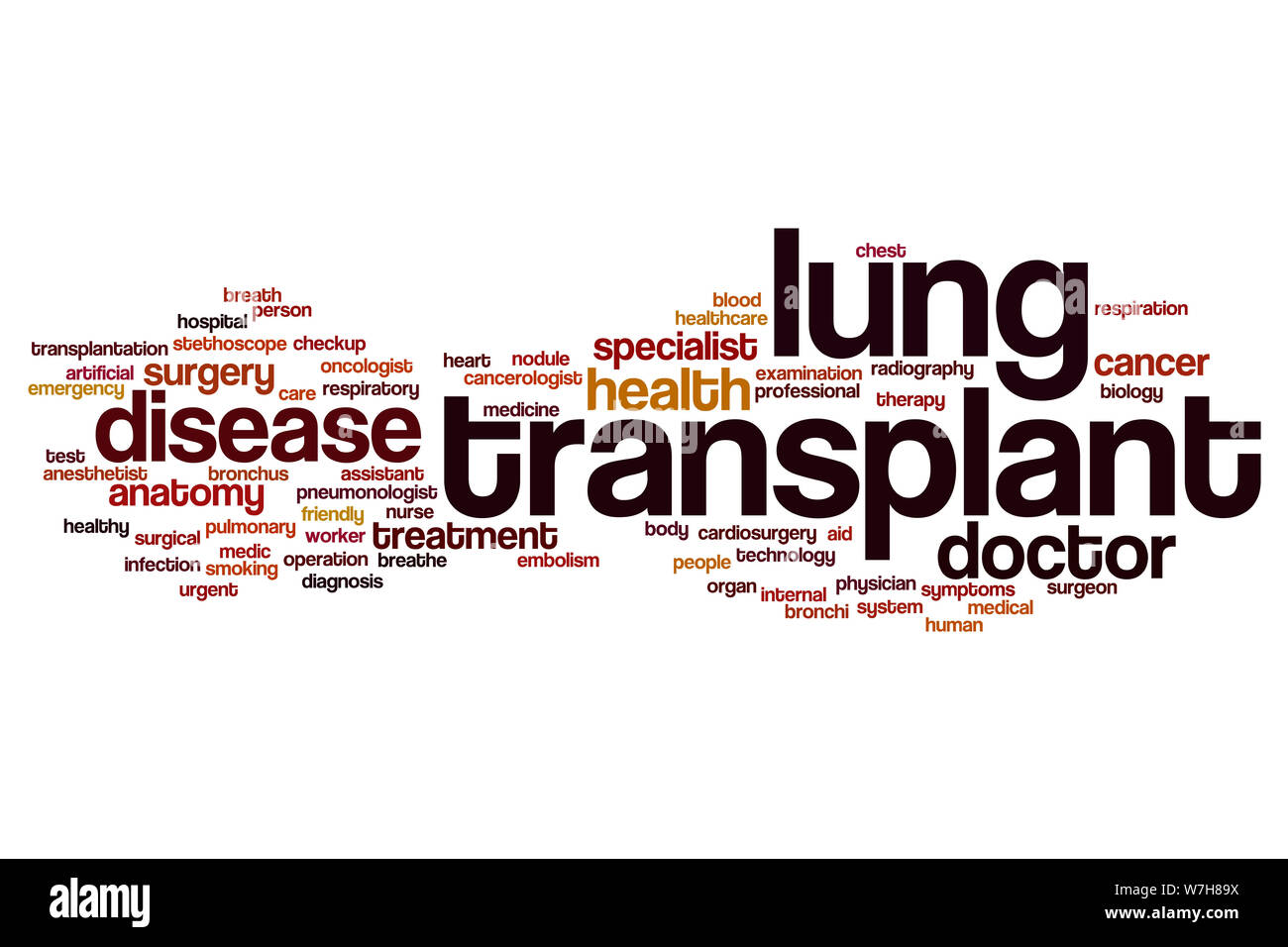 Lungentransplantation Wort cloud Konzept Stockfoto