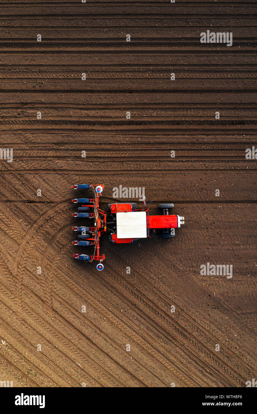 Draufsicht des Traktors das Einpflanzen von Maissaatgut in Feld, hohe Betrachtungswinkel drone Fotografie Stockfoto