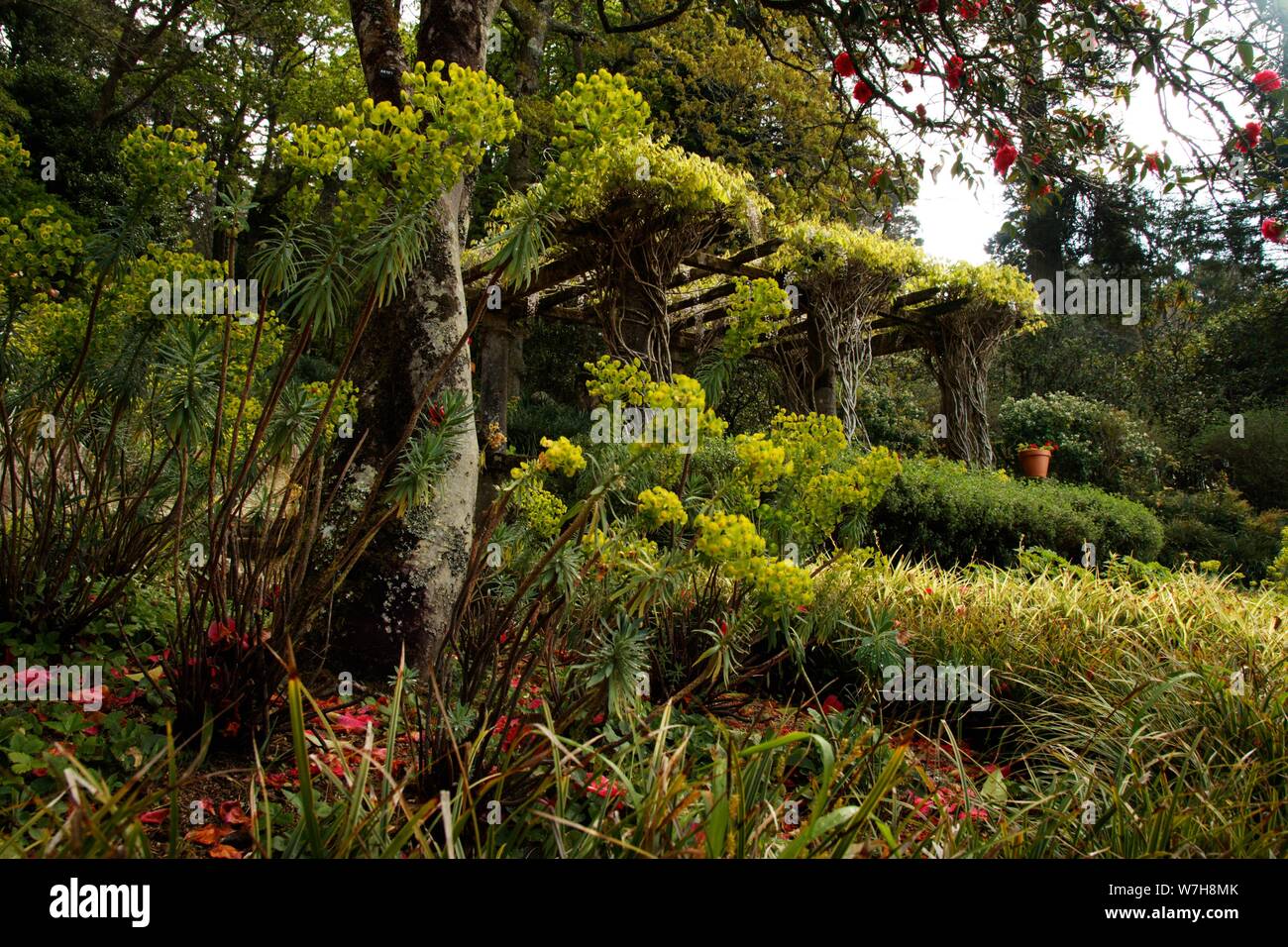 Weiter Sie nach Lissabon finden Sie Sintra, das berühmt ist für seine Burg Palácio Nacional da Pena den Gärten ist Stockfoto