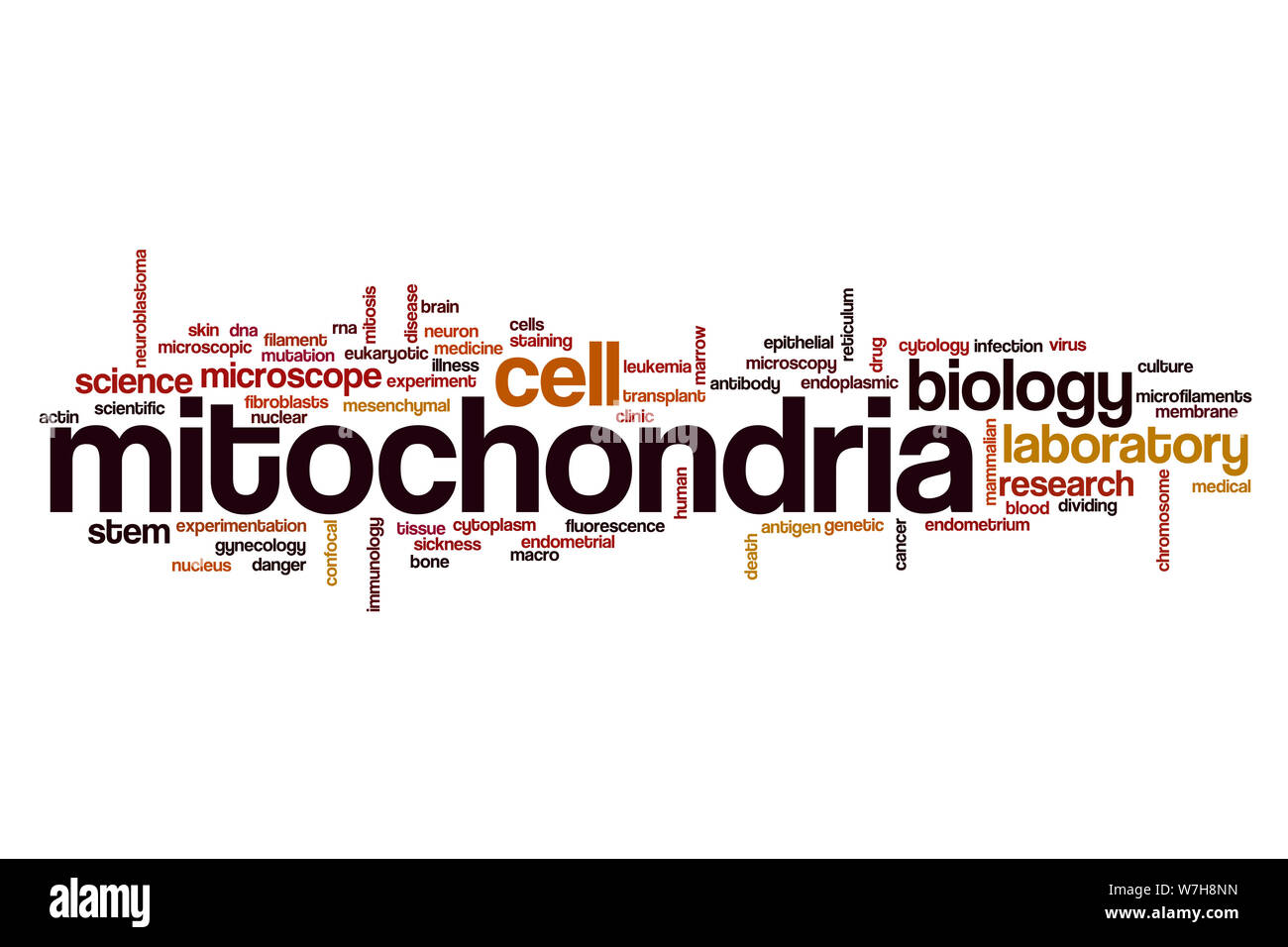 Mitochondrien Wort cloud Konzept Stockfoto