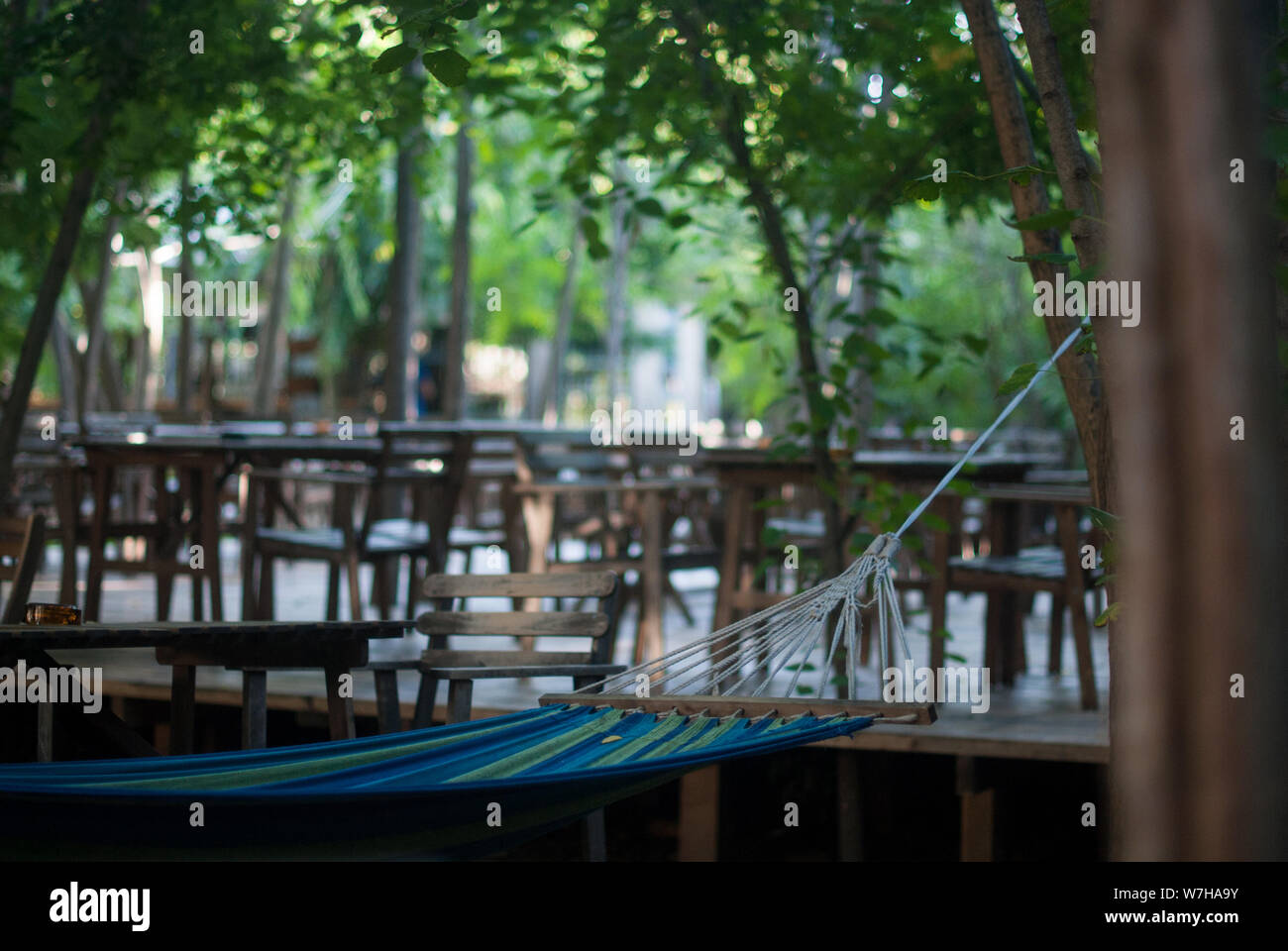 Entspannende Zone in einer Bar, Hängematte durch den Baum gebunden. Stockfoto