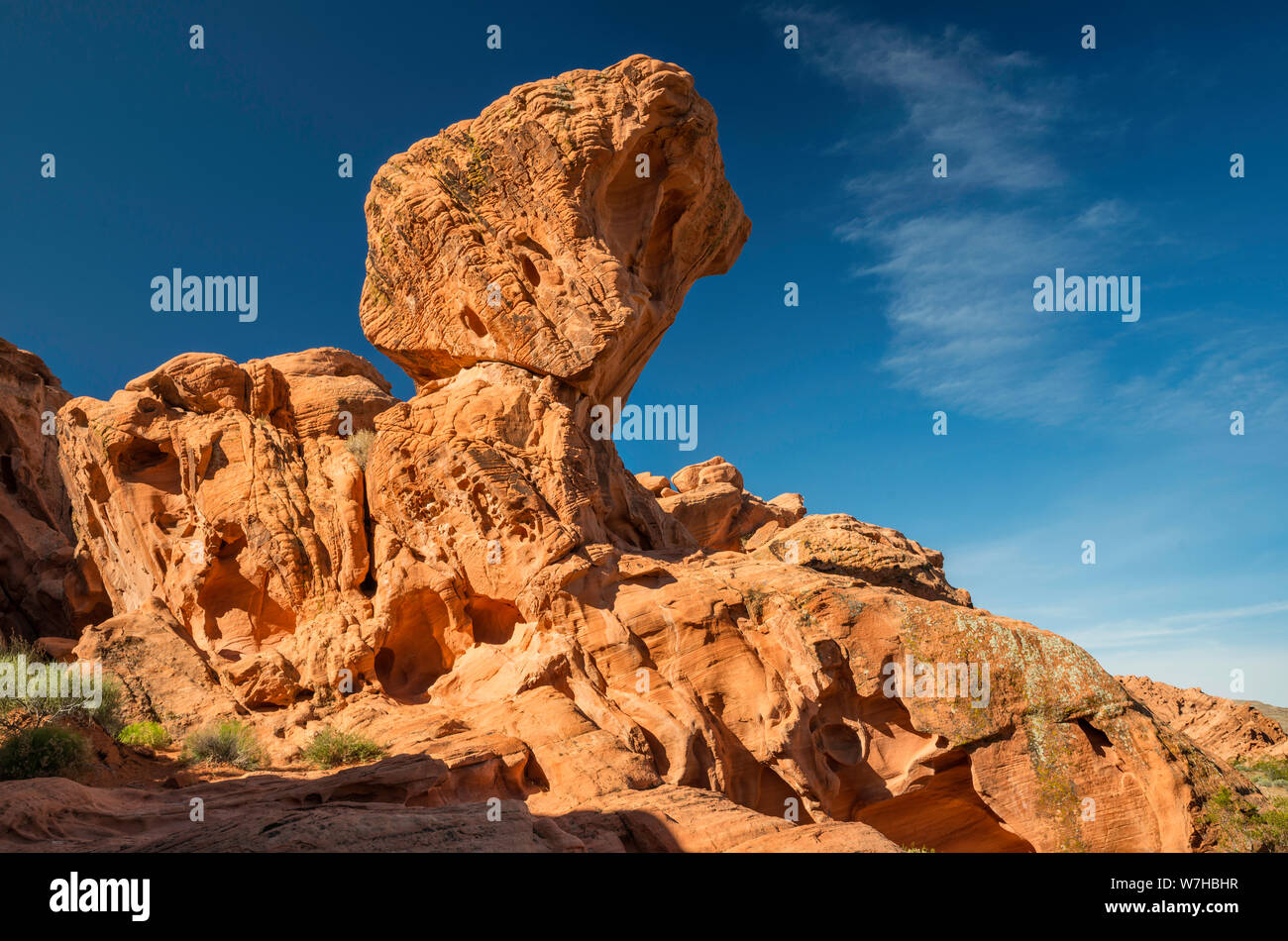Sandsteinfelsen am Redstone Trail, Northshore Road Area, Lake Mead National Recreation Area, Nevada, USA Stockfoto