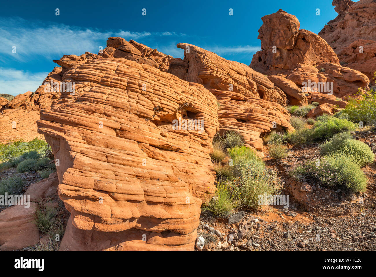 Sandsteinfelsen am Redstone Trail, Northshore Road Area, Lake Mead National Recreation Area, Nevada, USA Stockfoto