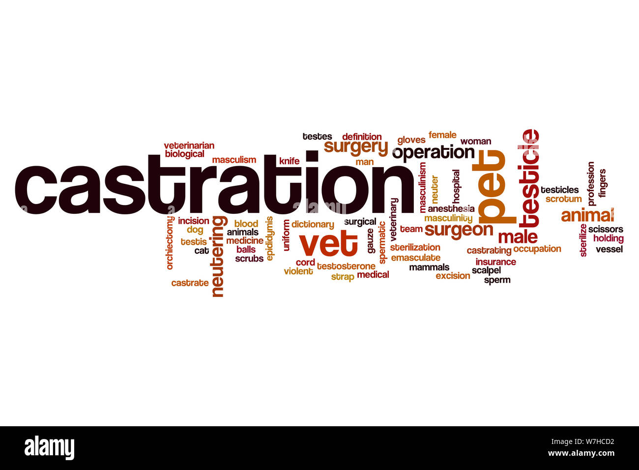 Kastration Wort cloud Konzept Stockfoto