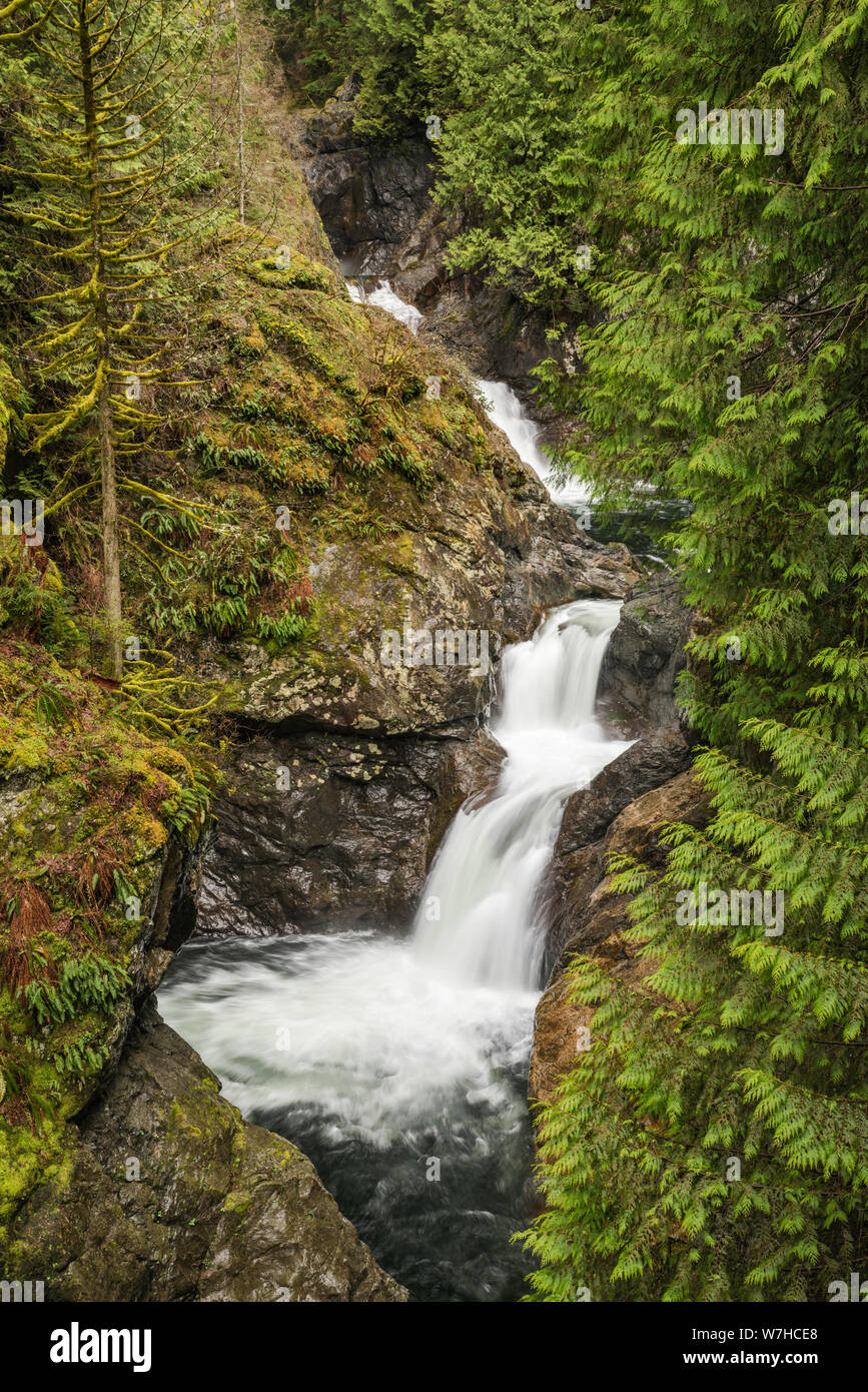 Upper Twin Falls im Frühjahr, Twin Falls Natural Area im Olallie State Park, North Cascades, in der Nähe der Stadt North Bend, Washington, USA Stockfoto