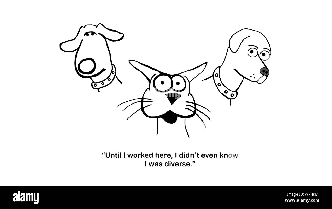 Katze hat über den Status der Vielfalt gelernt Stockfoto