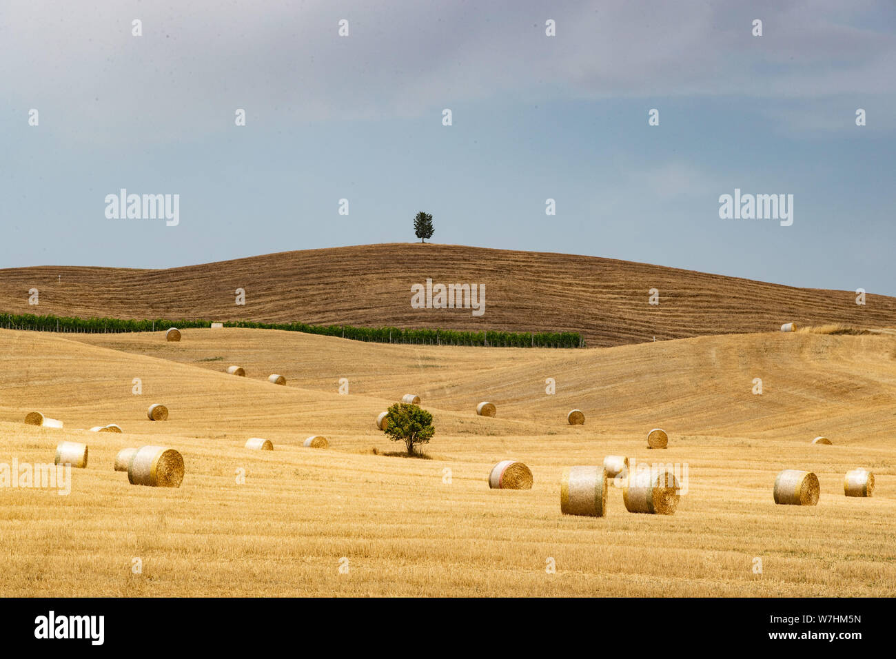 Landschaft im Val d'Orcia in der Nähe von San Quirico d'Orcia, Toskana Stockfoto