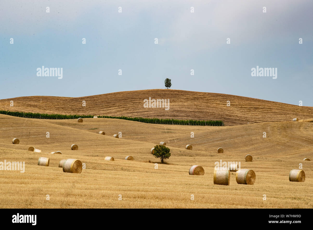 Landschaft im Val d'Orcia in der Nähe von San Quirico d'Orcia, Toskana Stockfoto