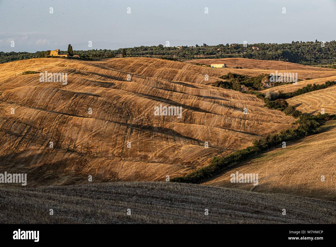 Landschaft im Val d'Orcia in der Nähe von San Quirico d'Orcia, Toskana Stockfoto