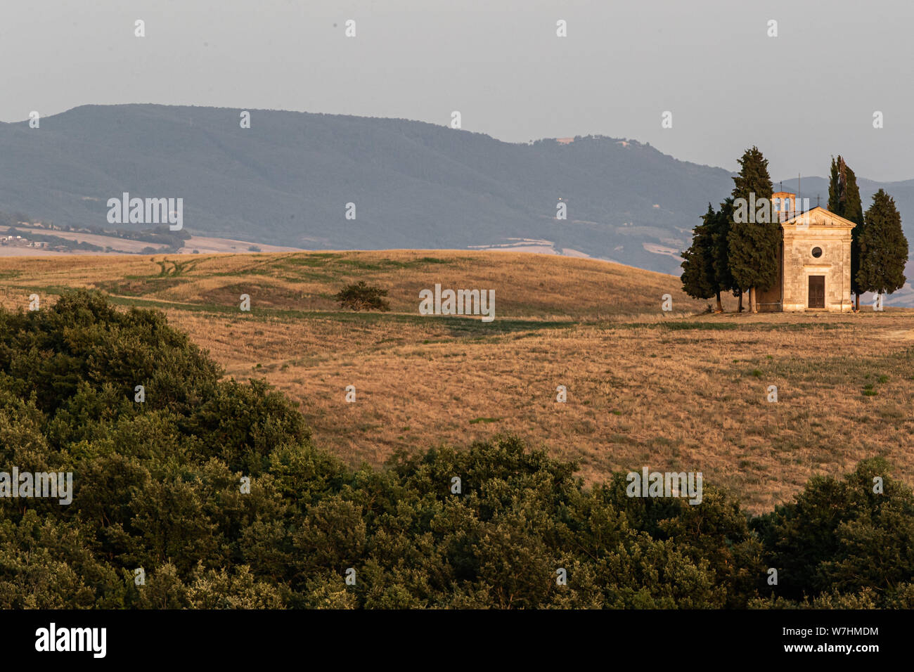 Landschaft im Val d'Orcia in der Nähe von San Quirico d'Orcia, Toskana Stockfoto