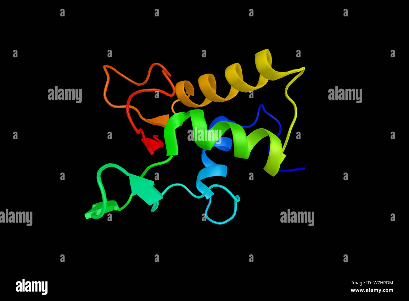 Maus Dvl-1 DEP Domain. Zerzaust (DSH) ist eine Familie von Proteinen, die im kanonischen und nicht-kanonischen Wnt Signalwege. 3D-Rendering. Stockfoto