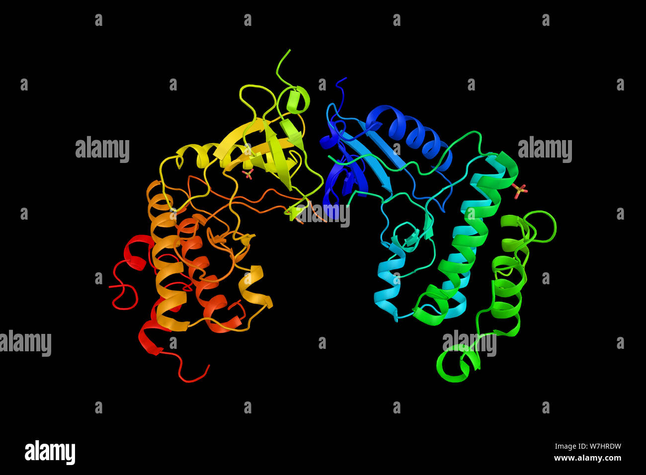MAPKinase interagierende Serin/ThreoninProtein kinase 1, ein Enzym