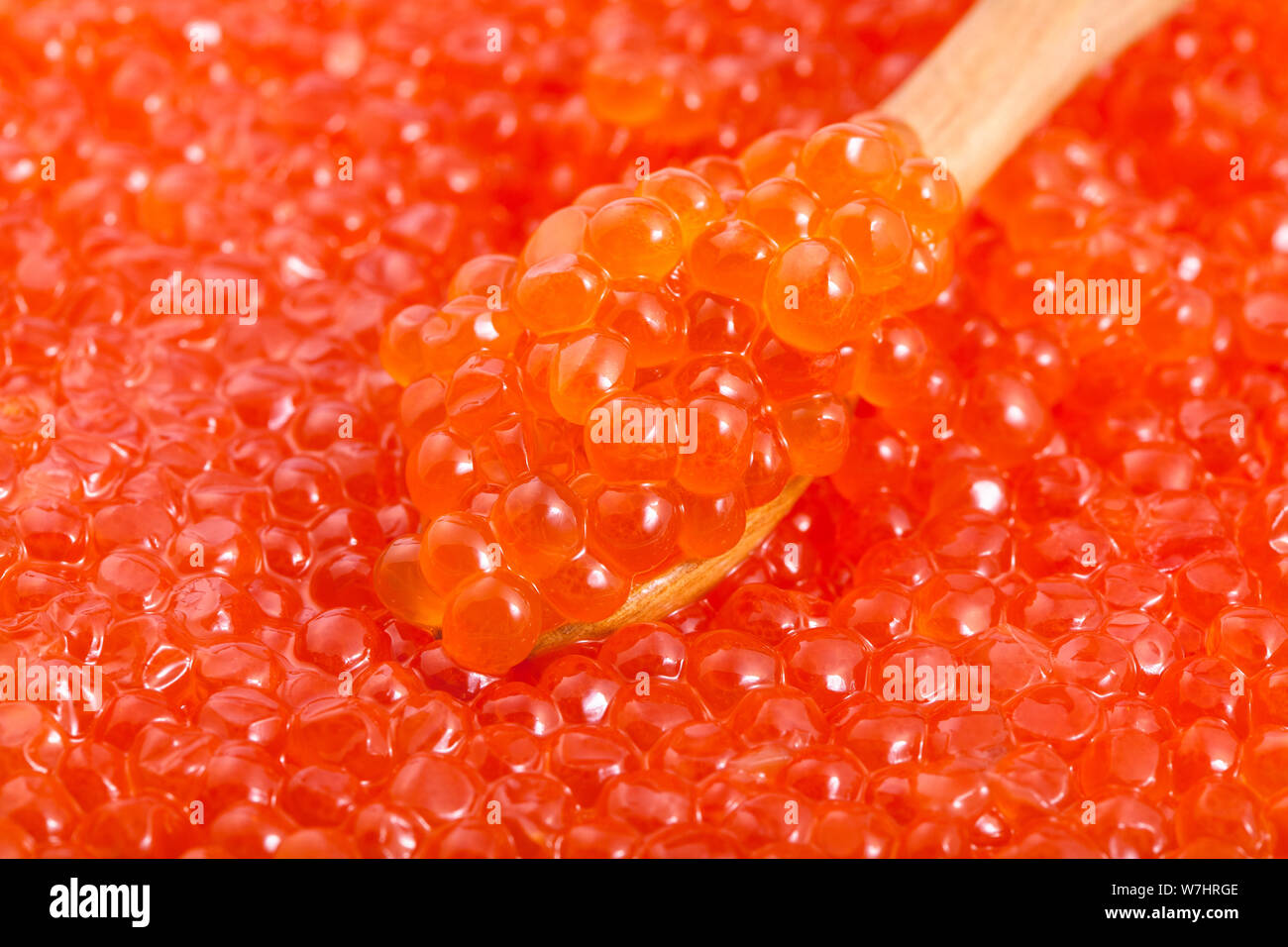 Essen Hintergrund - kleine Löffel aus Holz in gesalzenem roter Kaviar von Pink Lachs Fisch close-up Stockfoto