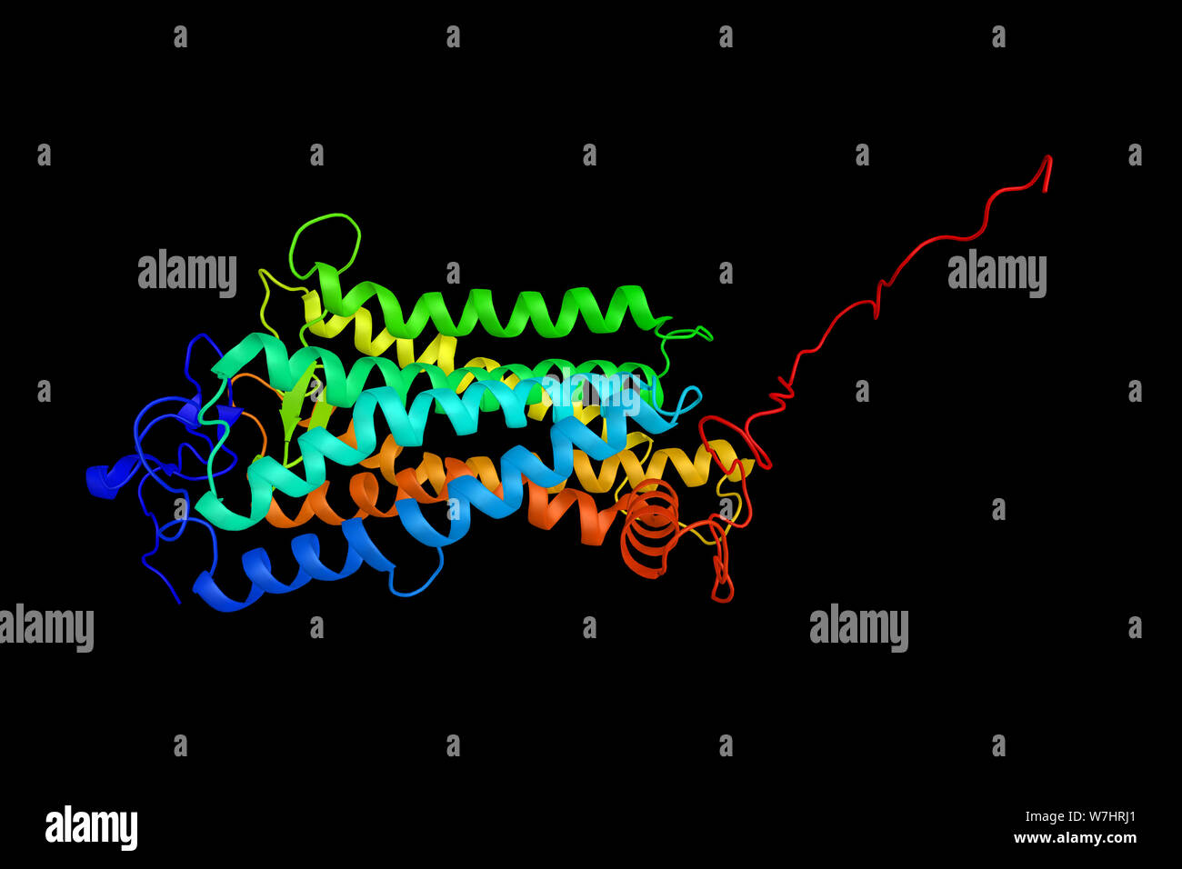 Neuropeptid Y-Rezeptor Typ 2 (Y2R), ein Protein, das mit der Verordnung der Nahrungsaufnahme verbunden sind. 3D-Rendering. Stockfoto