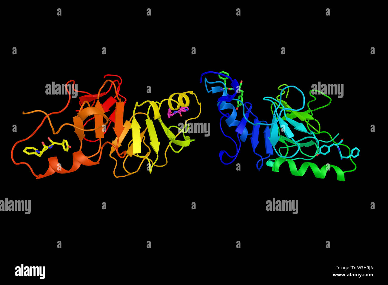 Neurophysin II, auch ein Träger Protein als Stimulator von prolaktin Sekretion bekannt. 3D-Rendering. Stockfoto