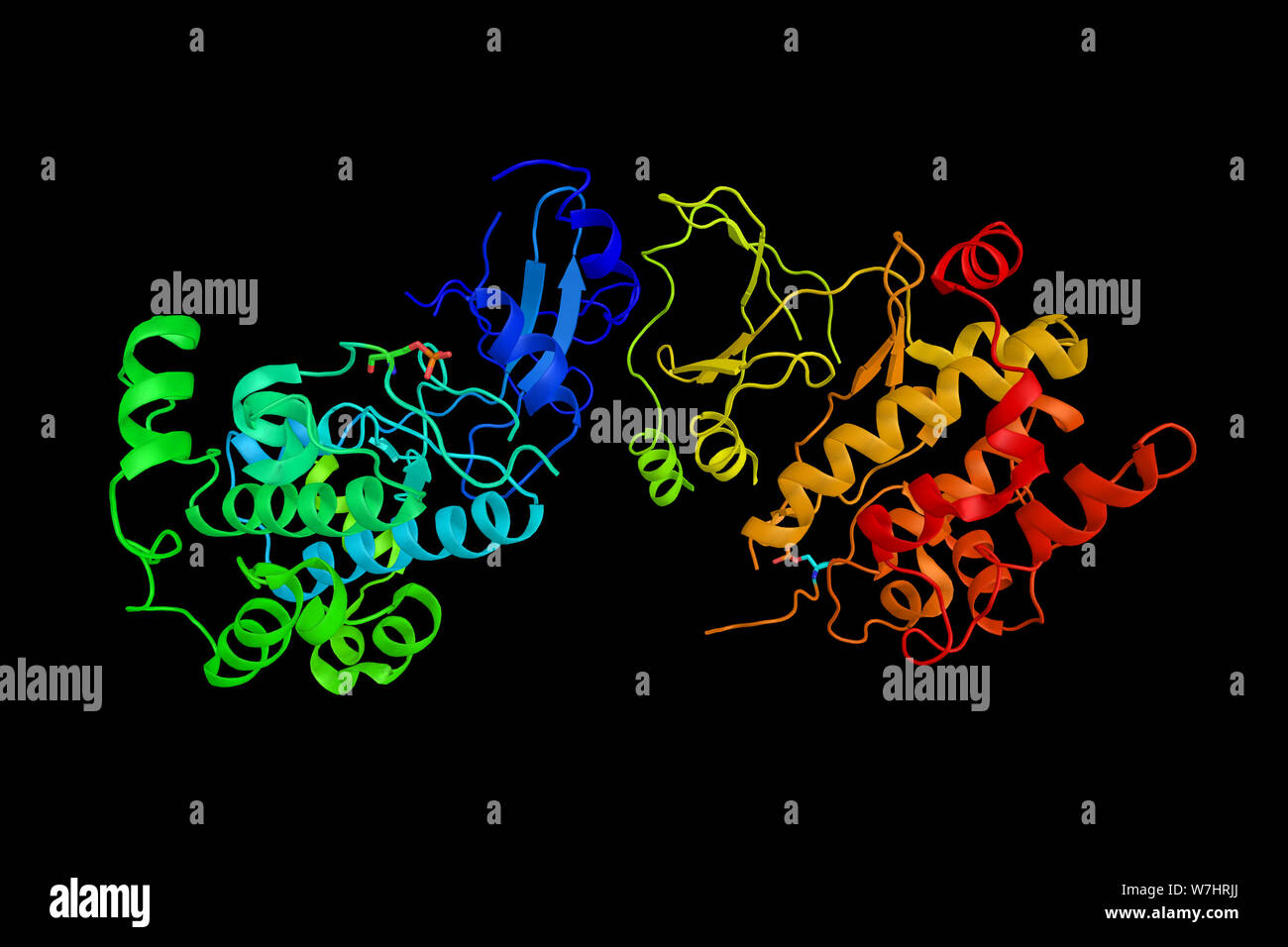 PAK4, ein Enzym, das regelt Zytoskelett Umbau, phänotypischen Signalisierung und Genexpression, und wirkt sich auf direktionale Motilität, Invasion, metasta Stockfoto