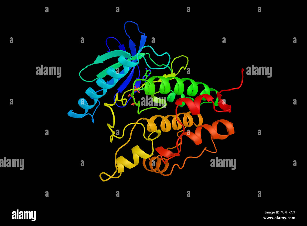 Thymidin-phosphorylase b-kinase Gamma katalytische Kette, an der Skelettmuskulatur Isoform, ein Enzym, das in den Menschen durch die PHKG1-Gen kodiert ist. 3D-Rendering. Stockfoto