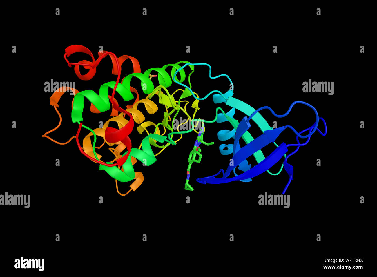 PLK3, ein Enzym, das eine Rolle bei der Regulation des Zellzyklus und Tumorgenese spielen können. 3D-Rendering. Stockfoto