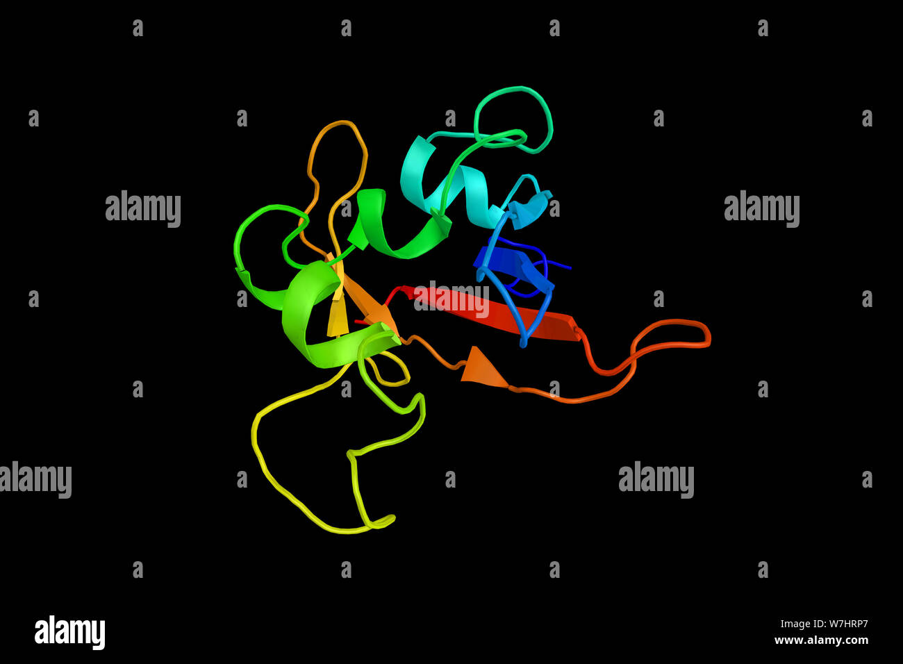 PAS Domain - mit Serin/Threonin-Proteinkinase, einem Enzym, das in Hefe, Fliegen, und Säugetiere. 3D-Rendering. Stockfoto