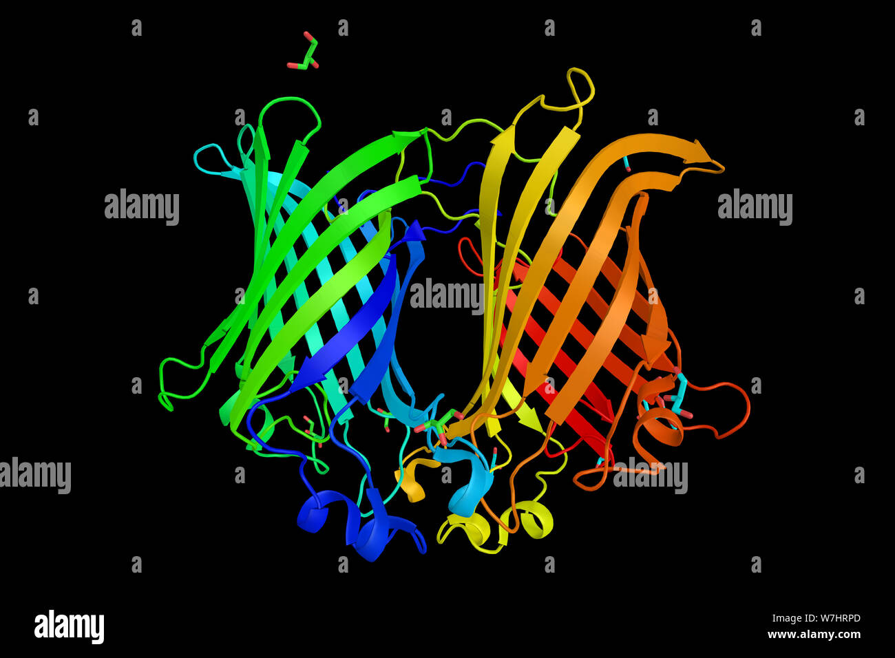 Die Phospholipase A1, a phospholipase Enzym entfernt Das 1-Acyl. Hydrolysiert Phospholipiden in Fettsäuren. 3D-Rendering. Stockfoto