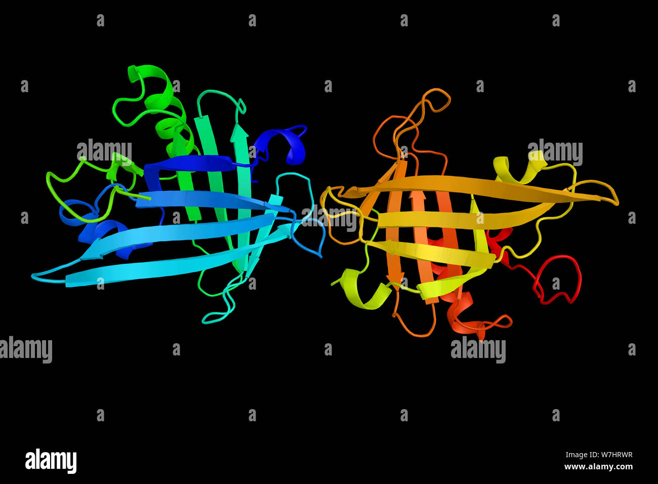 Prostaglandin-H2 D-Isomerase, einem Enzym, das als diagnostische Marker für liquorrhea welche Funktionen als neuromodulator sowie einer Trophischen Faktor verwendet Stockfoto