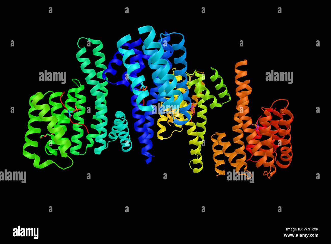 Proteinkinase C epsilon Typ, ein Enzym, das die moduliert cardiac