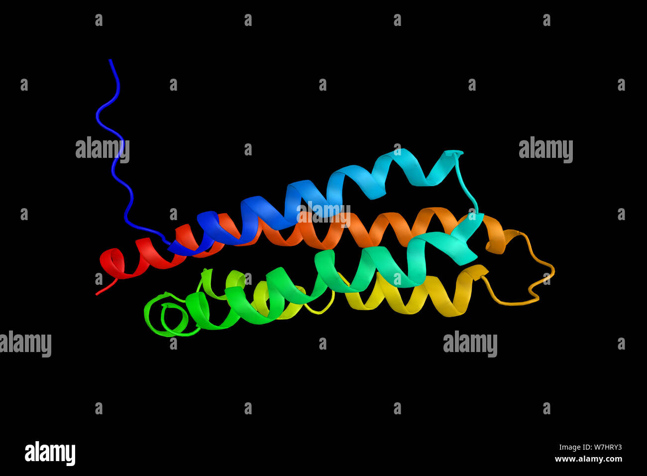 Protein tyrosine kinase 2 beta, ein Enzym, das sich in der Kalzium-induzierte Regulation von Ionenkanälen und Aktivierung der MAP-Kinase Signalweg. 3. Stockfoto