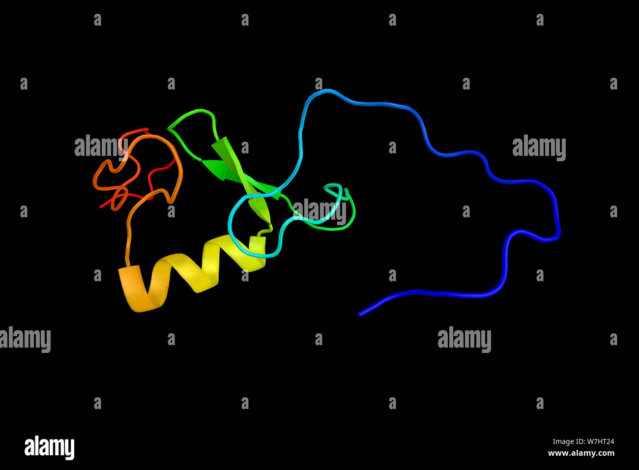 Ring finger Protein 24, ein Protein, das Trpc6 und andere transient Receptor potential Kationenkanal (Trpc) Familie Mitglieder und ist in regulatio beteiligt Stockfoto