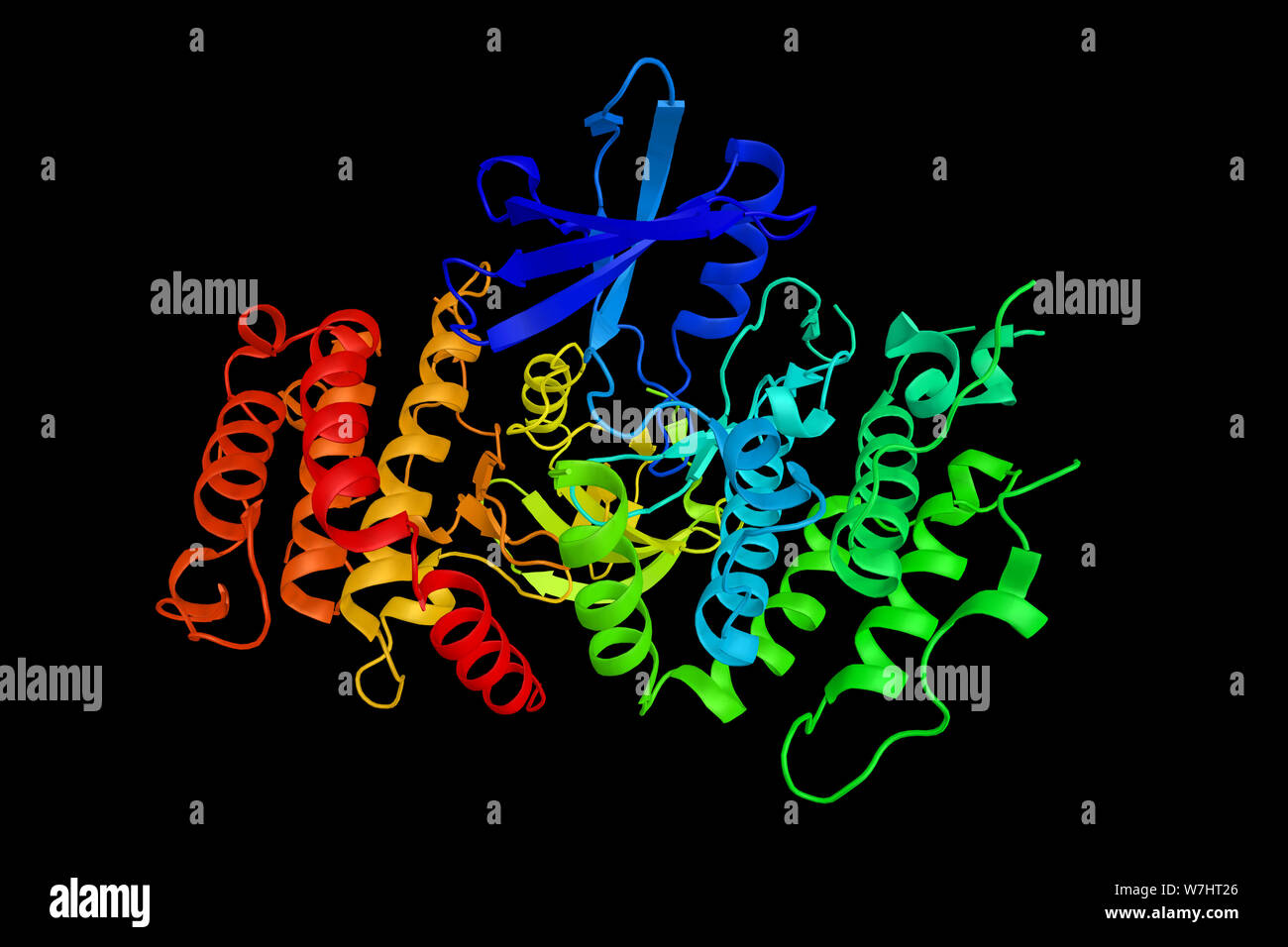 Rezeptor-interagierende Serin/Threonin-Protein kinase 3, ein Enzym, das vor allem im Zytoplasma lokalisiert. 3D-Rendering. Stockfoto