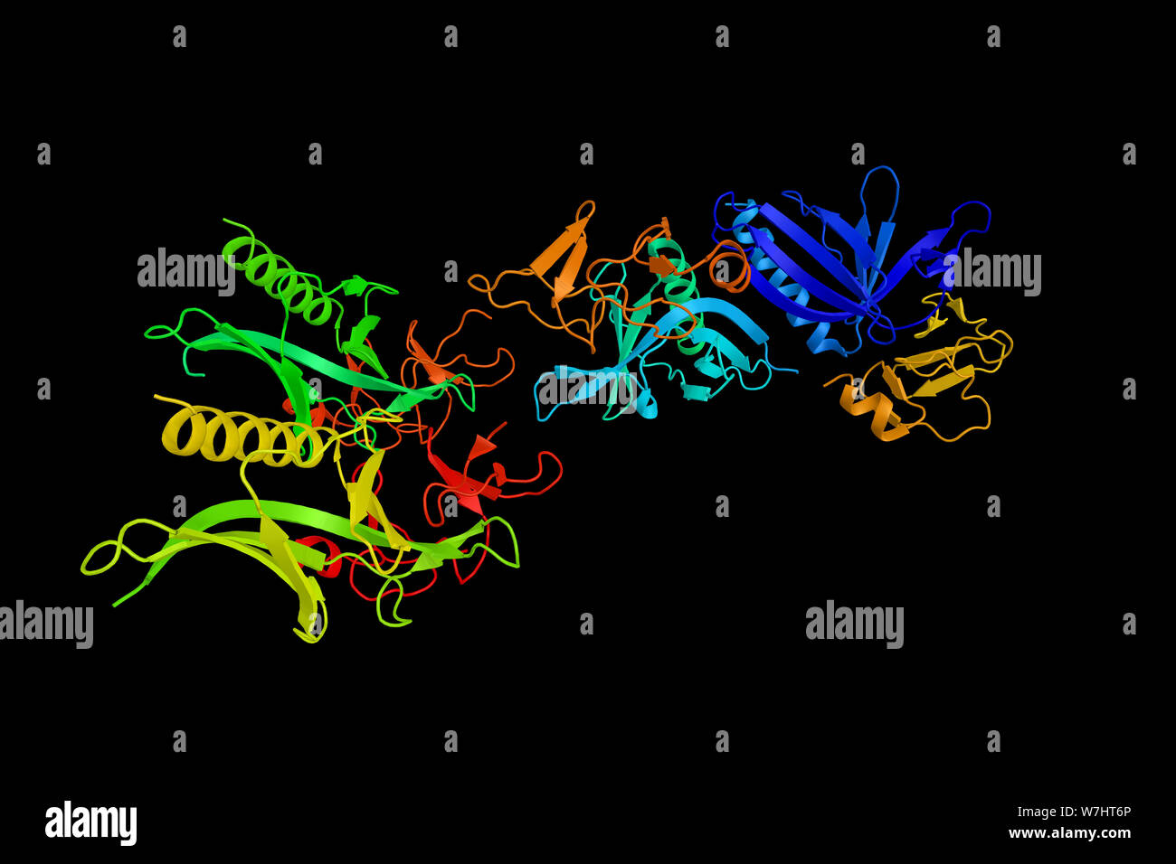 Testin, ein Protein, das eine Rolle in der Regulierung der Zellbewegung zu haben. Zusätzlich zu dieser, TES Funktionen als Tumorsuppressor. 3d renderi Stockfoto