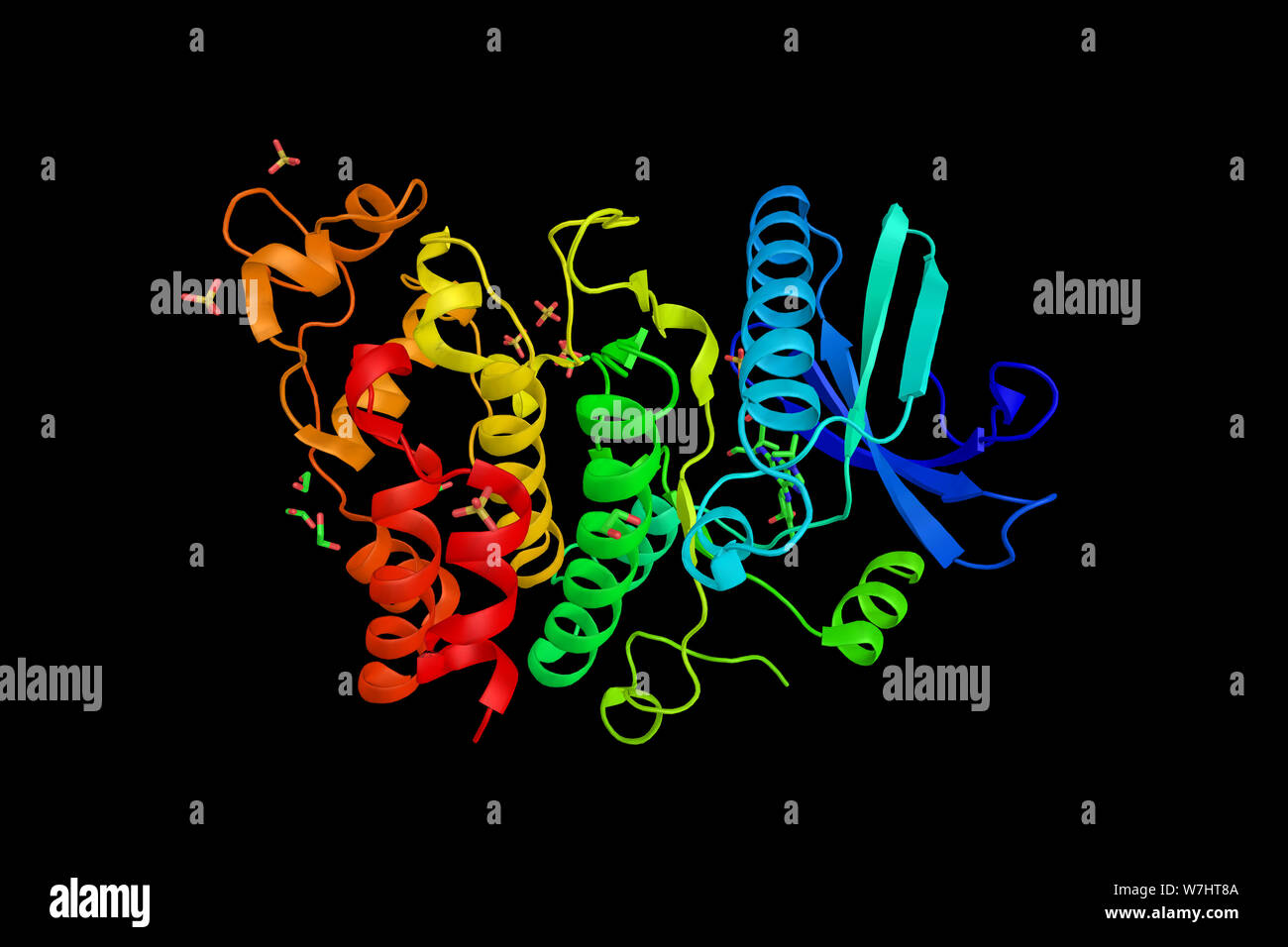 Serin/Threonin-proteinkinase Srpk 2, ein Enzym, das in den Menschen durch die Srpk2-Gen kodiert ist. Regelt die intrazelluläre Lokalisation von spleißfaktoren Stockfoto