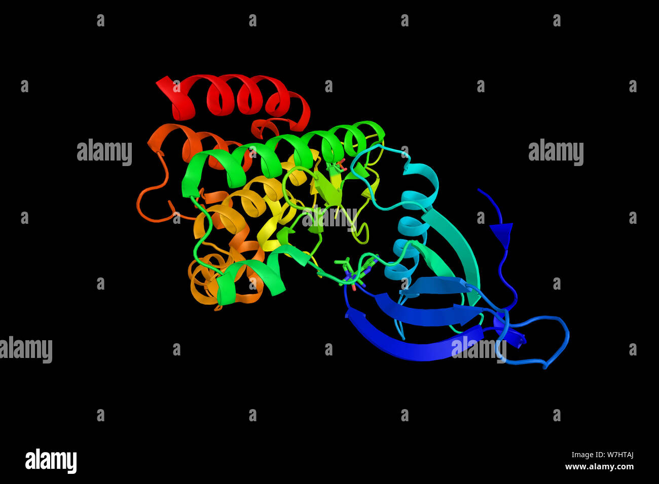 Nicht-Rezeptor-tyrosin-proteinkinase TYK2 ist ein Protein, das die verkündet Zytokin Signale durch Phosphorylierungs- Rezeptor Untereinheiten. Eine Rolle in der Anti-aging- Stockfoto