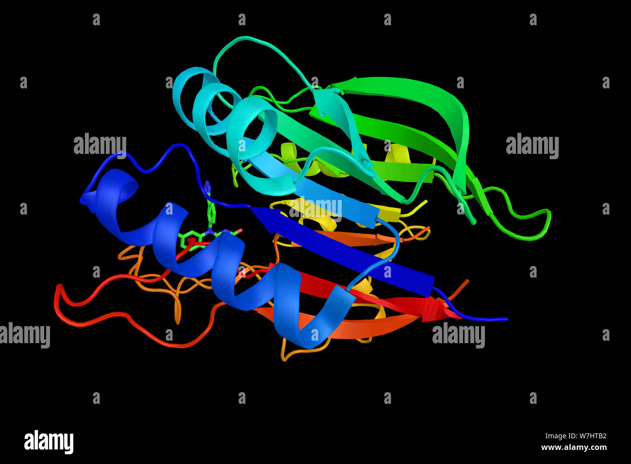 TTRAP, ein Protein, das whivh Mitarbeiter mit CD40, Tumor Nekrose Faktor (TNF)-Rezeptor-75 und TNF-Rezeptor assoziierten Faktoren (TRAFs) und hemmt die nukleare Stockfoto