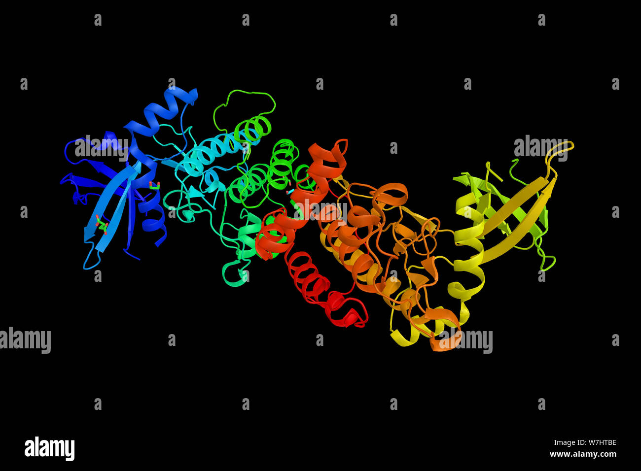 Serin/Threonin-proteinkinase VRK2 ist ein Protein, dem endoplasmatischen Reticulum lokalisiert und gezeigt wurde, Kasein zu Phosphorylieren und autophos unterzogen werden Stockfoto