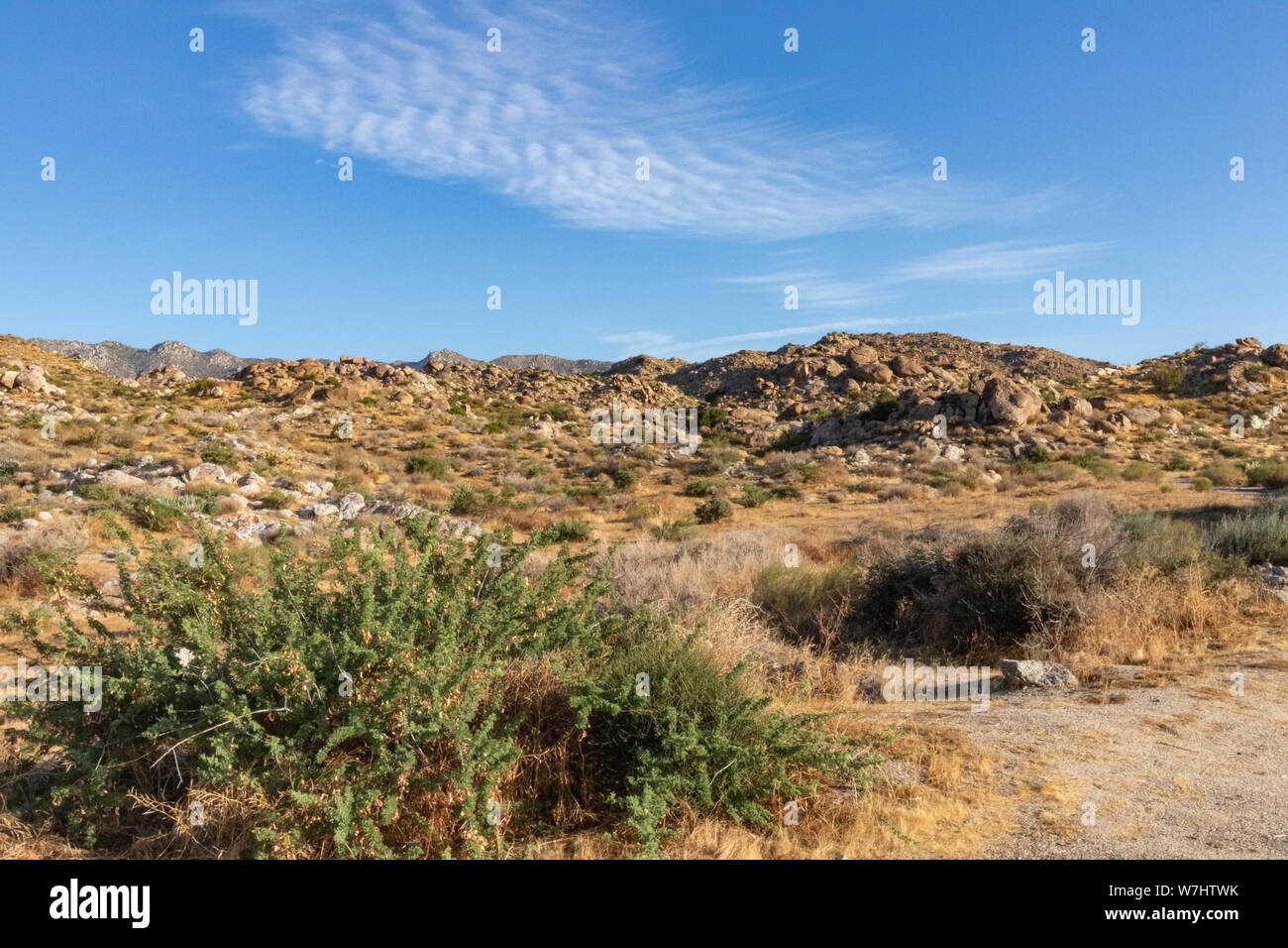 Landschaft der Wüste gegen den blauen Himmel Stockfoto