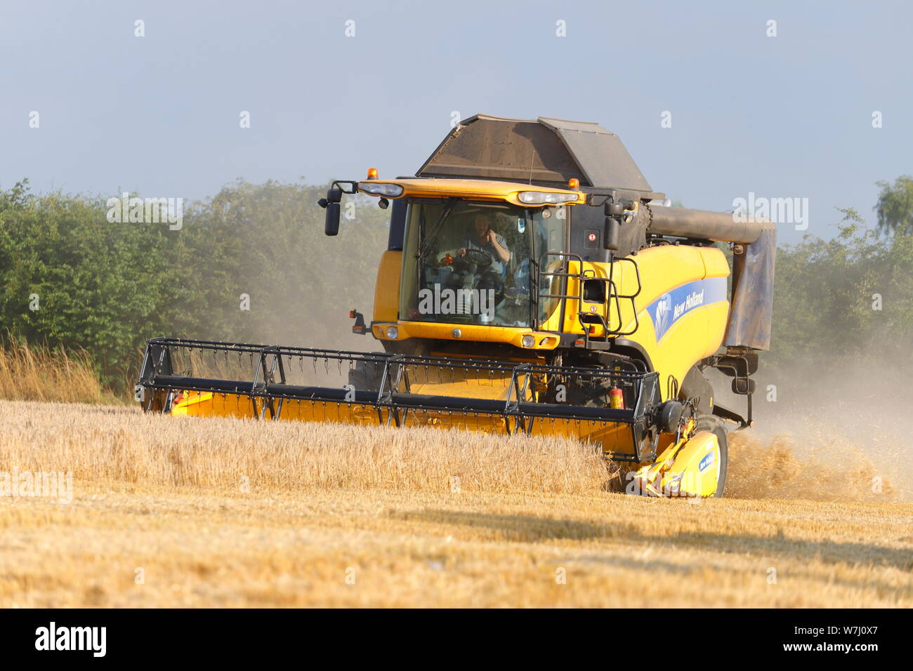 New Holland CX8040 Mähdrescher schneiden ein Feld in Swillington, Leeds. Stockfoto