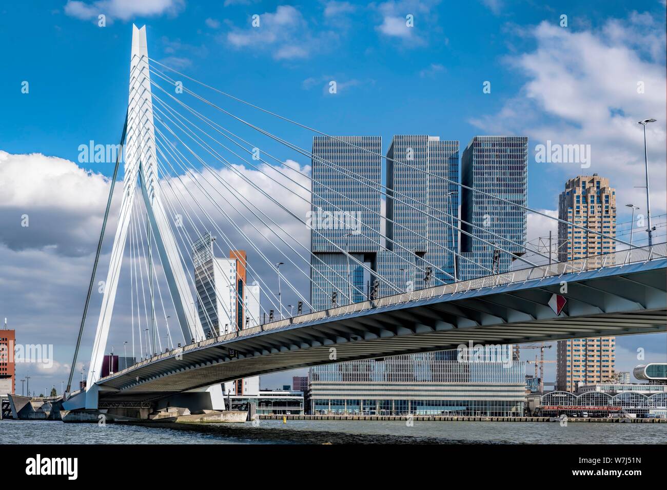 Erasmus Brücke vor der Skyline, Rotterdam, Niederlande Stockfoto