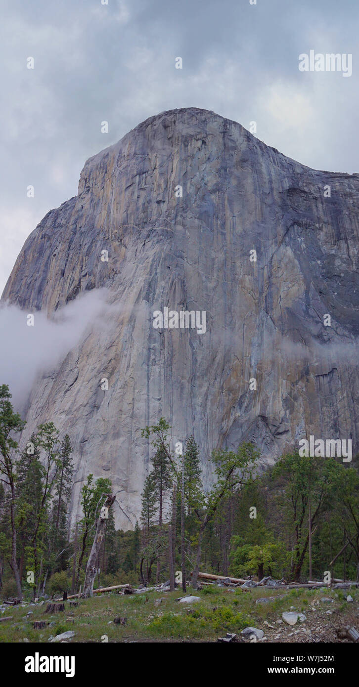 El Capitan, Yosemite Tal, Yosemite-Nationalpark, Kalifornien, USA Stockfoto